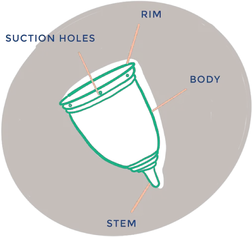 Use U2014 Freedom Cups Diagram Png Vagina Png