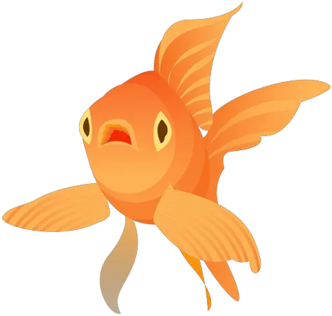 Goldfish Flipper Gills Tail Peixe Dourado Desenho Png Goldfish Transparent
