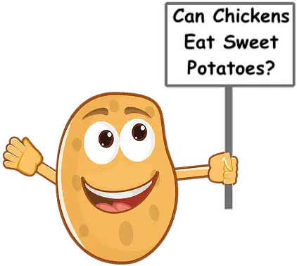 Can Chickens Eat Sweet Potatoes Potato Cartoon Png Potatoes Png