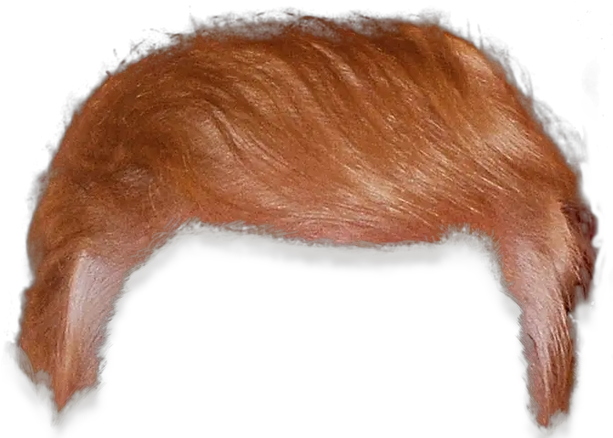 Png Trump Hair Transparent Trump Head Transparent Background