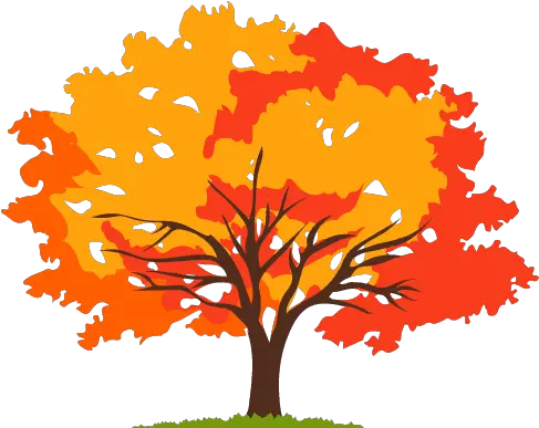 Tree Montgomery Tree Png Simple Tree Icon