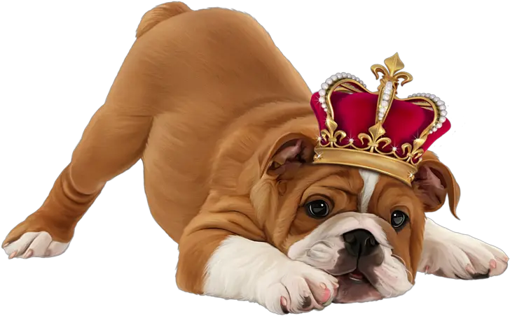 Dog Crown Png Official Psds Puppy Hd Images In White Background Crown Png