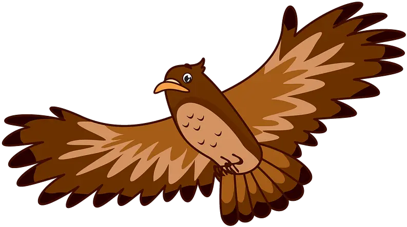 Hawk Clipart Free Download Transparent Png Creazilla Clipart Of A Hawk Hawk Png