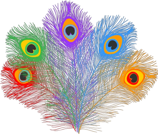 Inclusion Consultancy Australia Education For Hidden Png Peacock Feather Icon