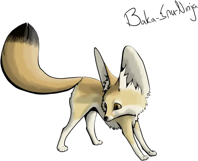 Download Fennec Fox Transparent Png Easy Fennec Fox Cute How To Draw A Fennec Fox Fox Transparent