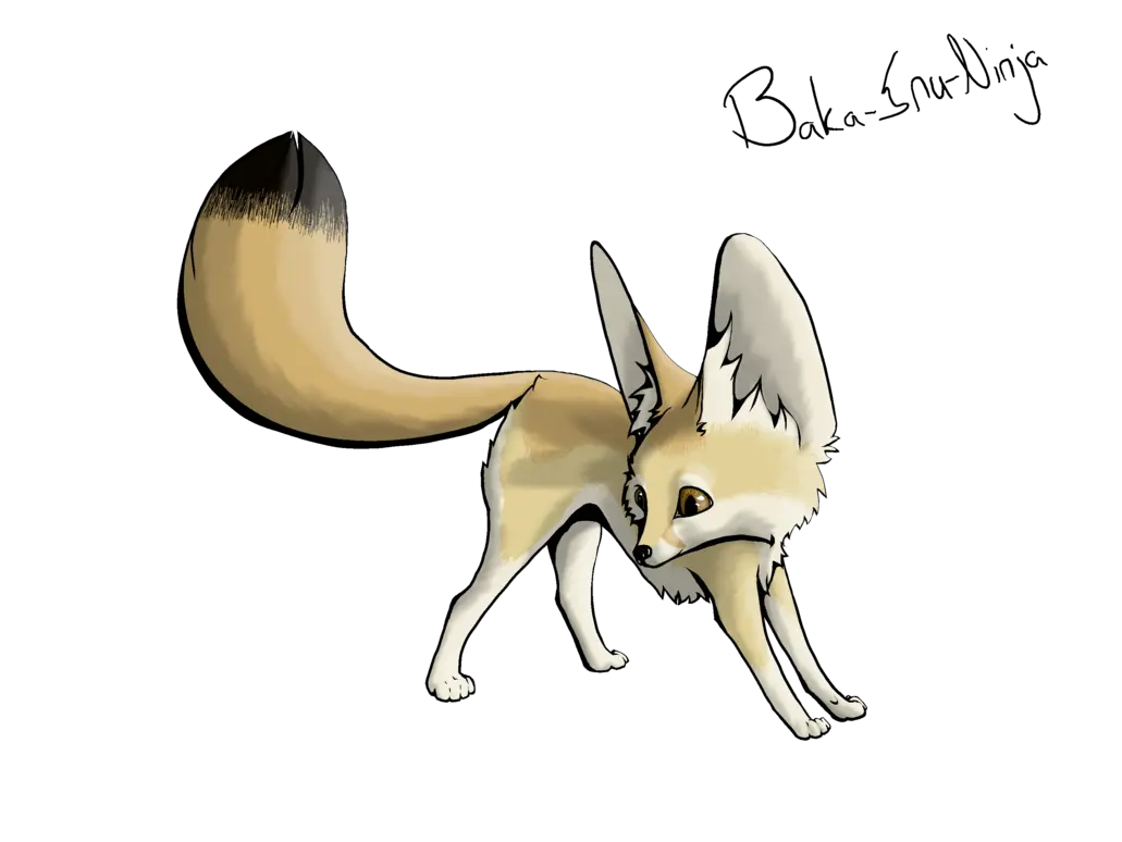 Fox Clipart Transparent Background Fennec Fox Easy Cute Drawing Of Fennec Fox Png Fox Transparent Background