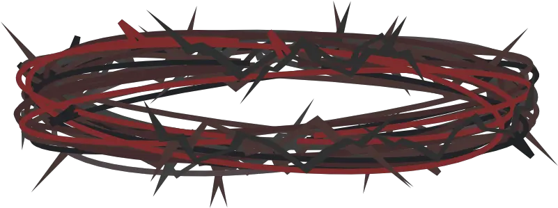Crown Of Thorns U2013 Sego Lily Foundation Thorn Crown Png Thorn Crown Png