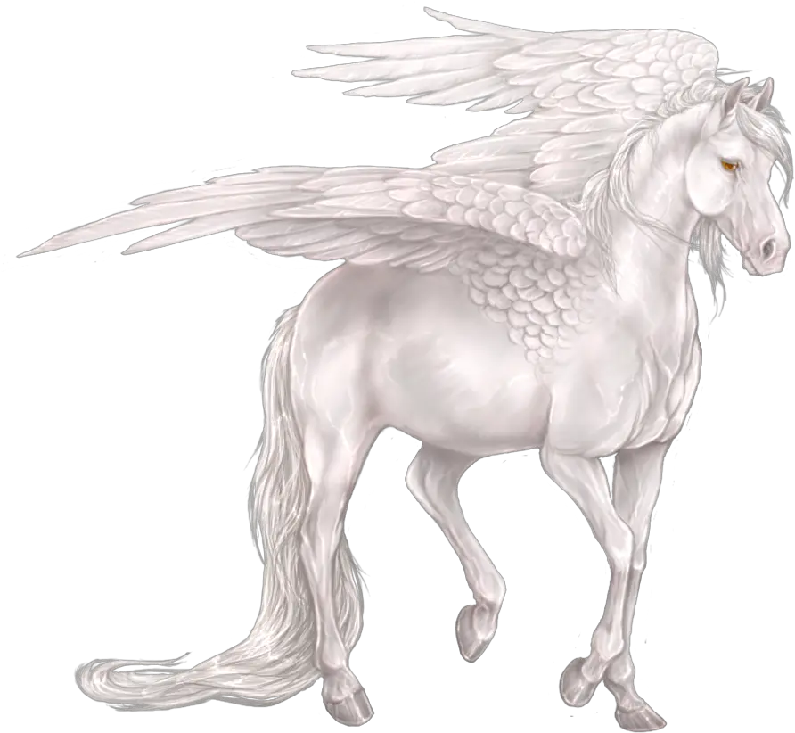 Crazypng White Pegasus Drawing Pegasus Png