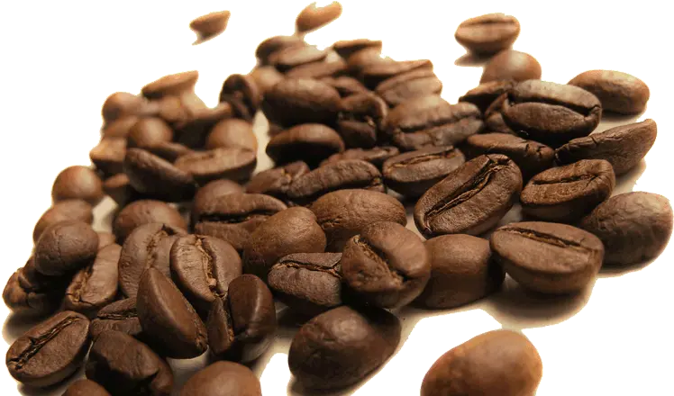 Coffee Bean Png Our Coffee Beans Originate From 16 Coffee Green Alisado Chile Coffee Bean Png