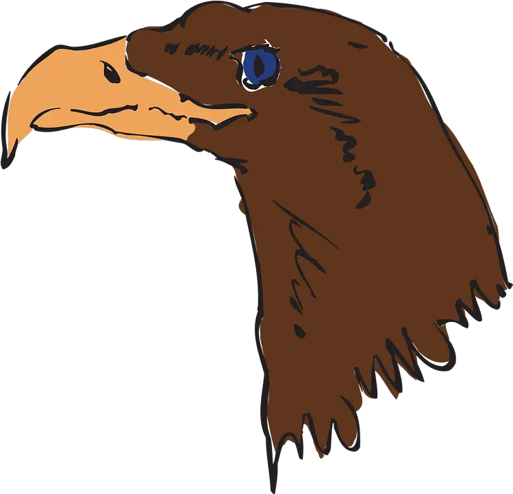 Eagle Head Brown Hewan Wajah Burung Gagak Kartun Png Eagle Head Png