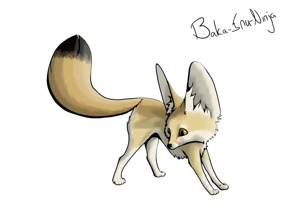 Fox Clipart Transparent Background Draw A Fennec Fox Png Fennec Fox Drawing Easy Fox Clipart Png