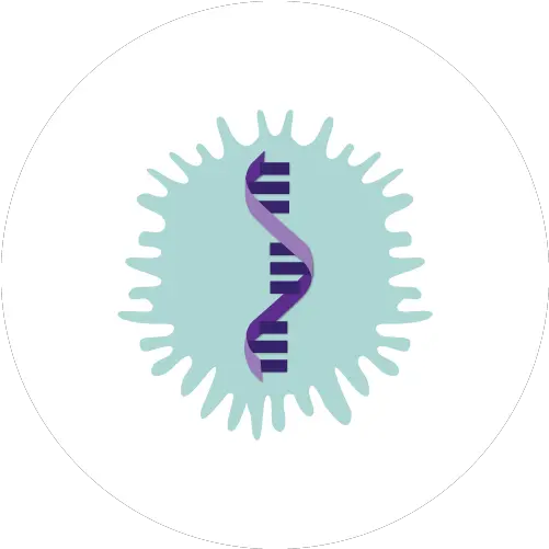 Cell U0026 Gene Therapy Catalent Biologics Adeno Associated Virus Icon Png Associated Icon
