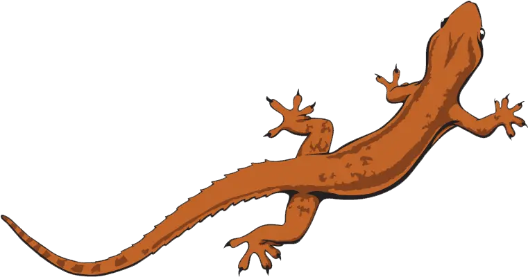 Download Lizard Png File Free Transparent Png Images Transparent Background Lizard Clipart Claw Mark Png