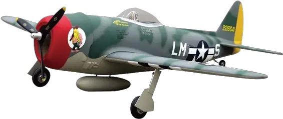 Skyraccoon Model P 47 Thunderbolt Png Price Of Icon A5