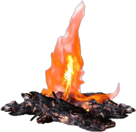 Bonfire Transparent File Wood Fire Png Campfire Png