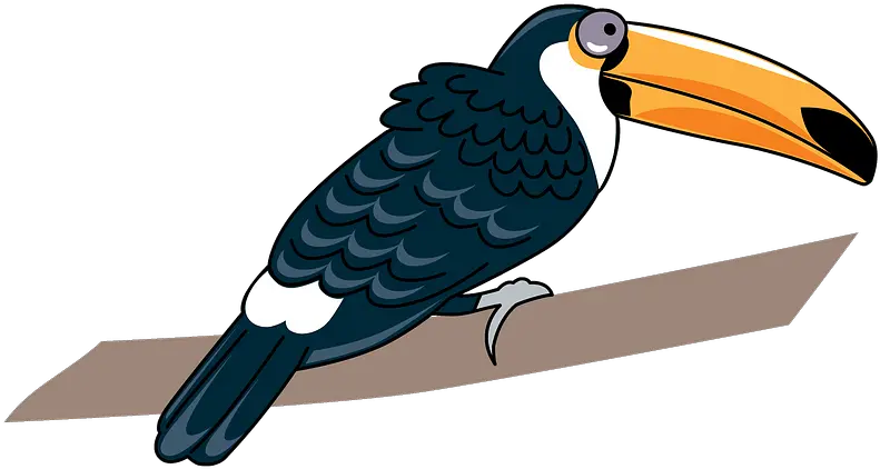 Toucan Clipart Long Png Toucan Png