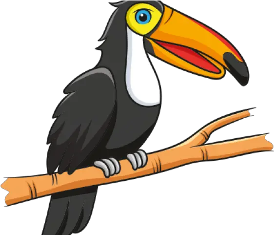 Real Anteater Cartoon Png Toucan Png