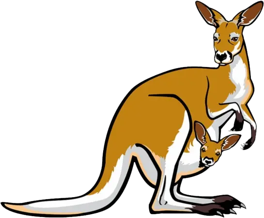 Joey Kangaroo Transparent Background Kangaroo Illustration Png Kangaroo Transparent