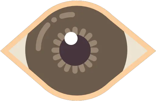 Index Of Imagesflaticon Pngmedicalbig Flat Eye Icon Png Iris Png