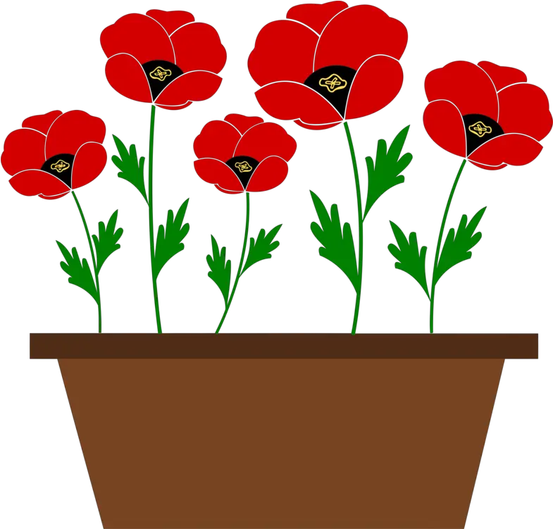 Plant Flower Seed Png Clipart Plants With Flowers Clipart Flower Plant Png