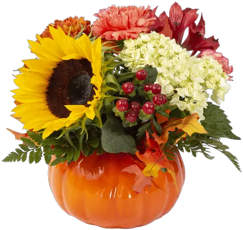 Pumpkin Spice Small Connells Maple Lee Flowers And Gifts Bouquet Png Pumpkin Transparent