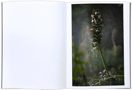 Sale Books U2013 Photobookstore Terri Weifenbach Cloud Physics Png Oliver Stone Untold History United States Folder Icon
