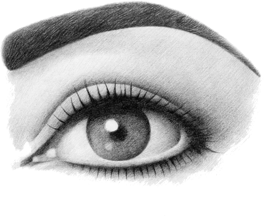 Threading Station Home Threading Station Png Eyebrow Png