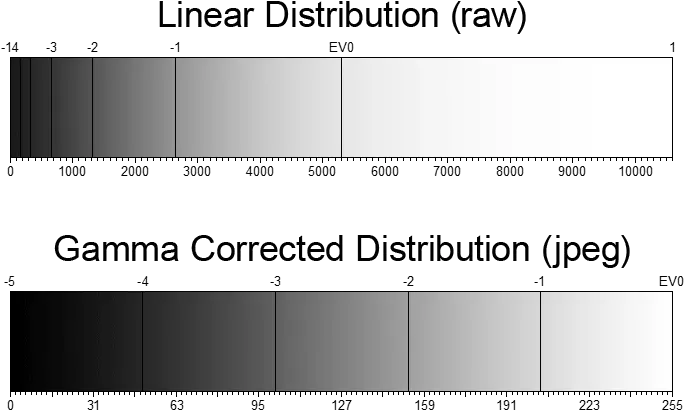 Linear Distribution Versus Gamma Number Png Versus Png