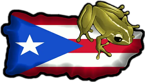 Largest Collection Of Free Toedit Puerto Stickers On Picsart Coqui Puerto Rico Flag Png Bandera De Puerto Rico Png