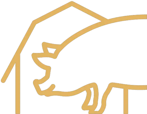 Our Services Sunterra Farms Pig Png Boar Icon
