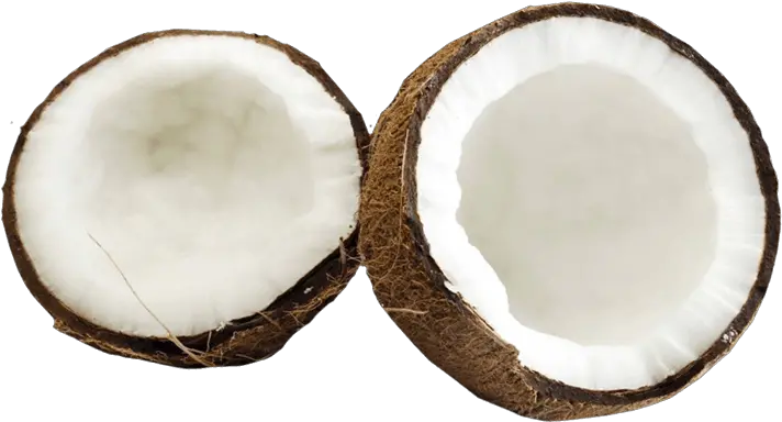 Coconut Png Image Without Background Coconut Meat Png Coconut Transparent