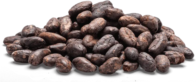 Cocoa Beans Png 3 Image Cocoa Beans Png Beans Png