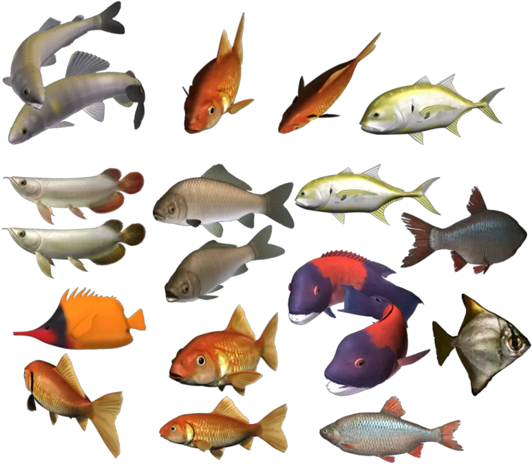 Fish Png Image Transparent Background Group Of Fish Png School Of Fish Png