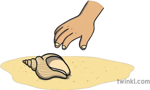 Hand Reaching For Shell Illustration Bivalvia Png Hand Reaching Png