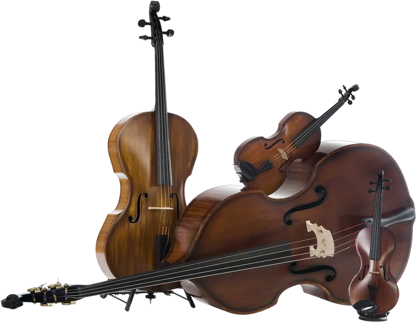 Ricci Carbon Instruments High Class Orchestra And Concert Free Images Orchestra Instruments Png Instruments Png