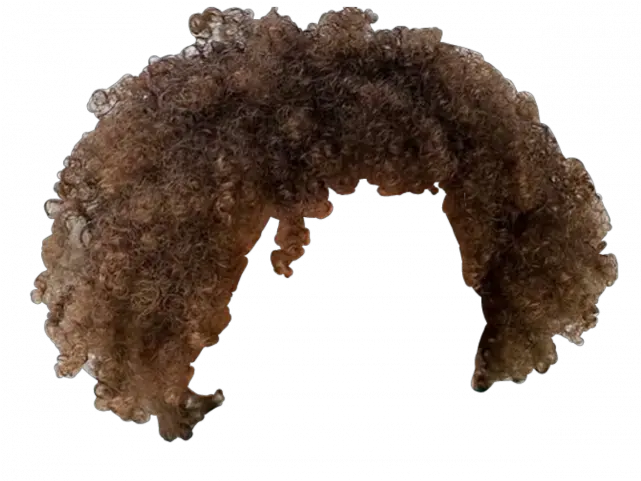 Afro Hair Png Transparent Images 19 1024 X 1280 Afro Hair Png Afro Transparent