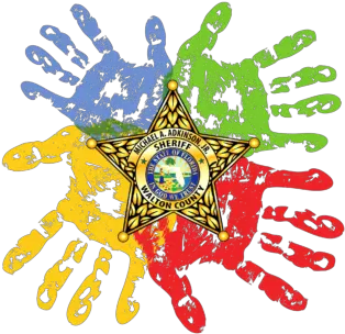 Child Protective Investigations Walton County Sheriffu0027s Child Protective Investigator Florida Png Handle With Care Icon