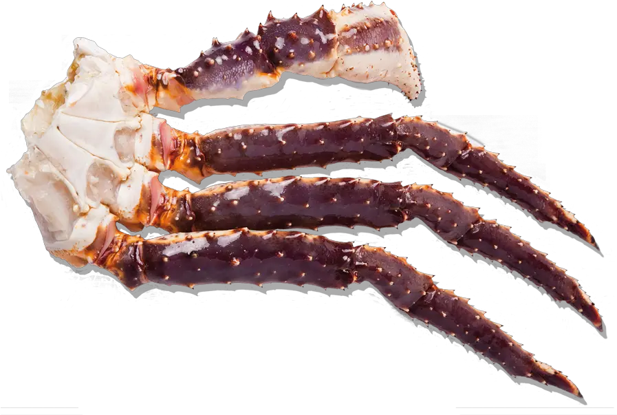 Frozen Raw King Crab Cluster Raw King Crab Legs Png Crab Legs Png