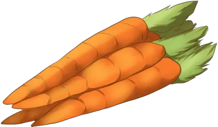 Baby Carrot Vegetable Food Carrots Png Download 500500 Baby Carrot Carrots Png