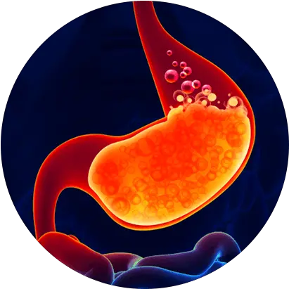 Png Download How Eno Works In Stomach Acidity Images In Png Stomach Png
