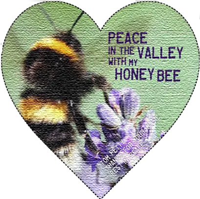 Lyrics From One Of My Favorite Tom Petty Songs Honey Bee Tom Petty Honey Bee Png Tom Petty Logo