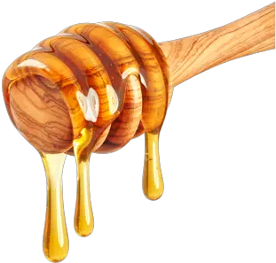Honey Spoon Png 3 Image Honey And Lemon Honey Transparent