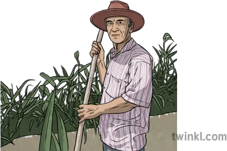 Turkish Farmer Illustration Twinkl Farmer Illustration Png Farmer Png