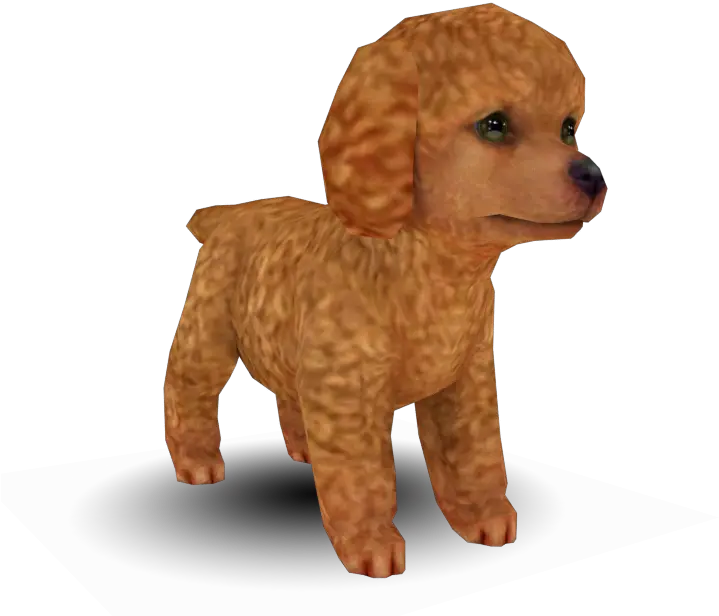 3ds Nintendogs Cats Toy Poodle The Models Resource Nintendogs And Cats Toy Poodle Png Poodle Png