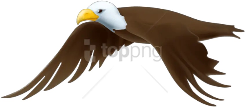 Eagle Transparent Png Images Background Cartoon Eagle Clipart Transparent Background Bald Eagle Transparent