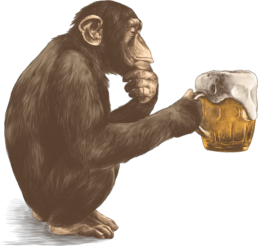 Monkey 9 Brewing Richmond Bc Monkey With Beer Png Monkey Png