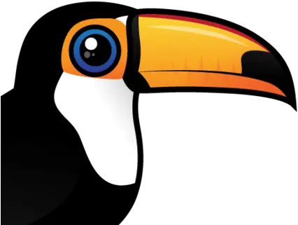 Toco Toucan Cute Png Image With No Cartoon Toucan Png