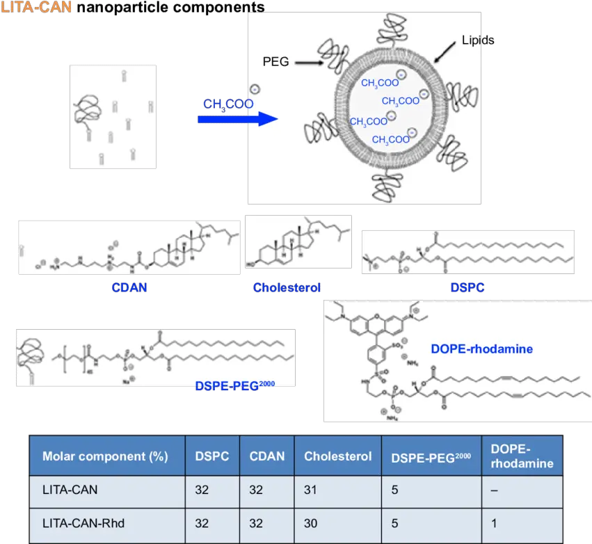 S1 Lita Nanoparticle Design Principles Screenshot Png Lita Png