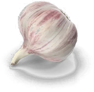 Garlic Png Free Download Arts Superfood Garlic Png