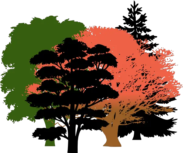 Download Get Free High Quality Hd Wallpapers Oak Tree Pine Tree Silhouette Png Oak Tree Silhouette Png